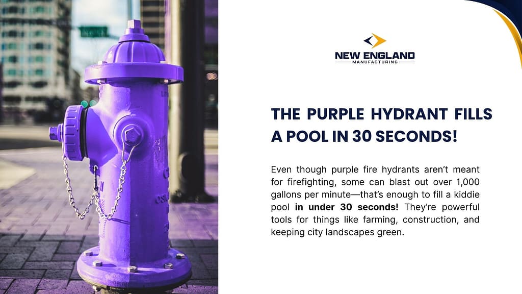 A vibrant purple fire hydrant on a city sidewalk with a caption explaining its high water output. The text highlights that purple fire hydrants, while not used for firefighting, can release over 1,000 gallons per minute and are used for purposes like farming, construction, and landscaping.