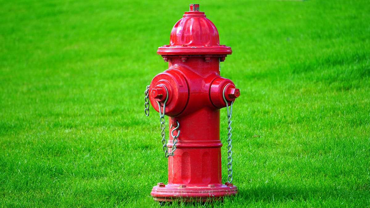 Red fire hydrant on a brick sidewalk next to a row of blossoming trees and green hedges in a park setting.