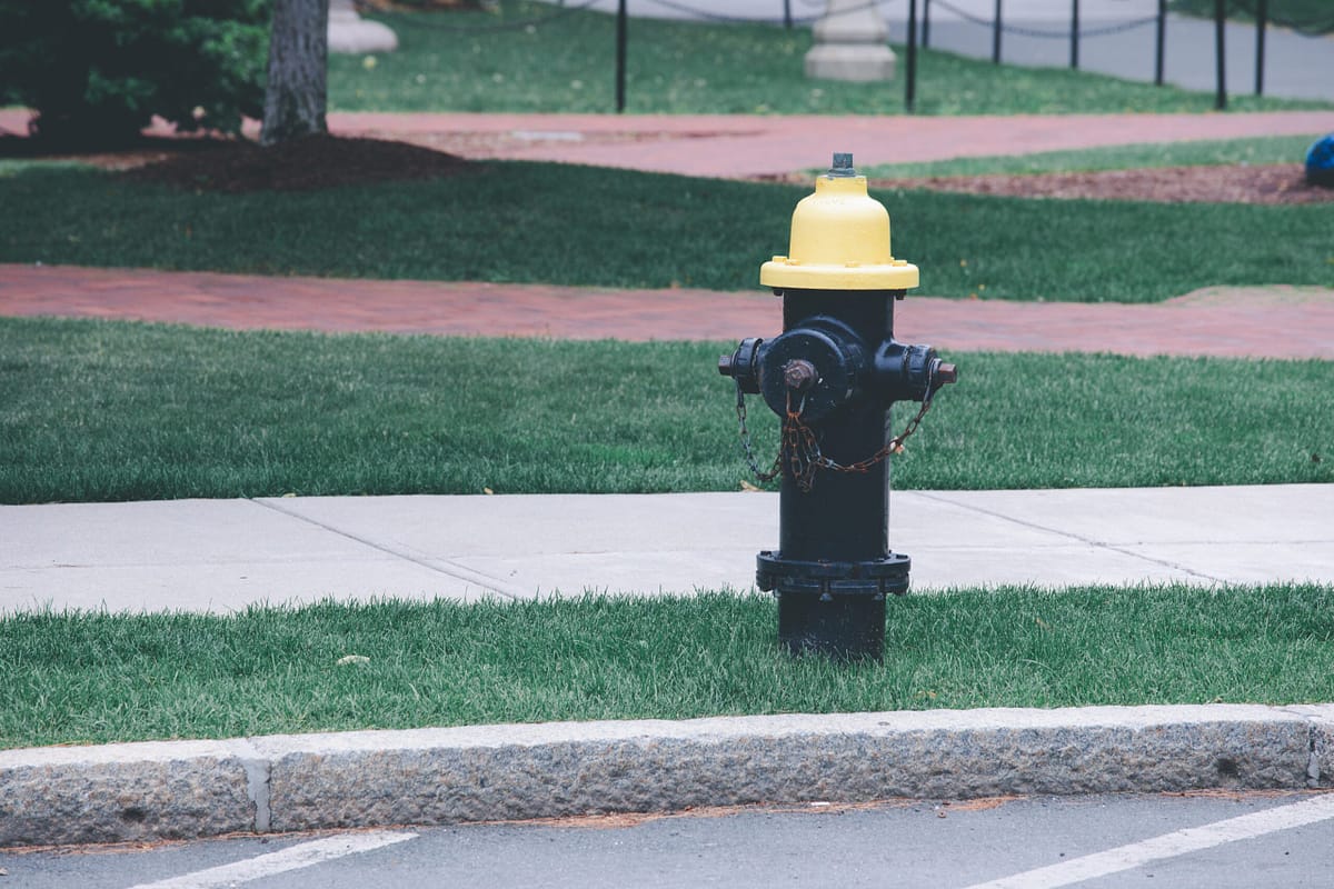 Black fire hydrant with yellow cap positioned on green grass next to sidewalk in residential neighborhood