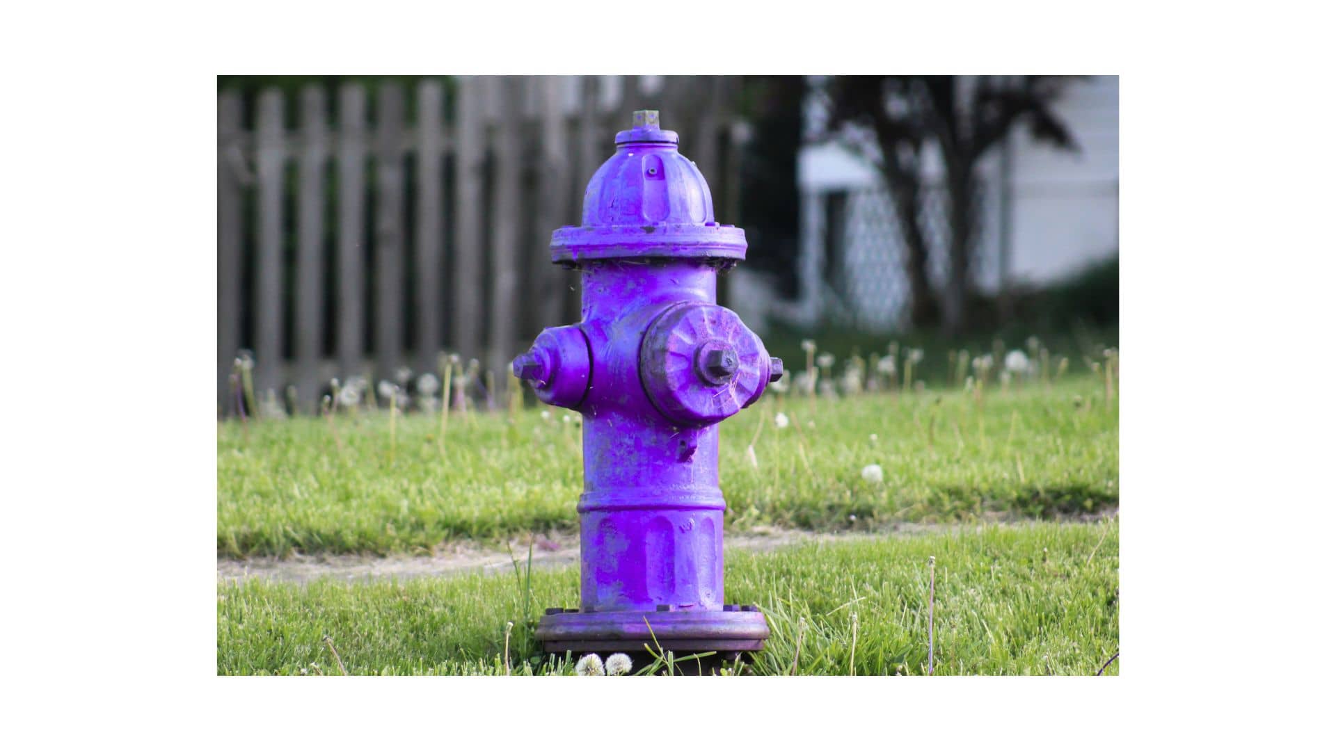 Purple Fire Hydrant Explained: Color Codes, Purpose of Use, and Flow Rates